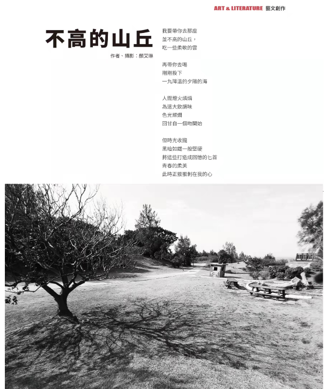 不高的山丘.png